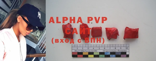 амф Алексин
