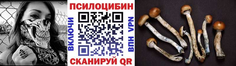 где купить наркоту  Амурск  это какой сайт  Галлюциногенные грибы Cubensis  МЕГА ССЫЛКА 