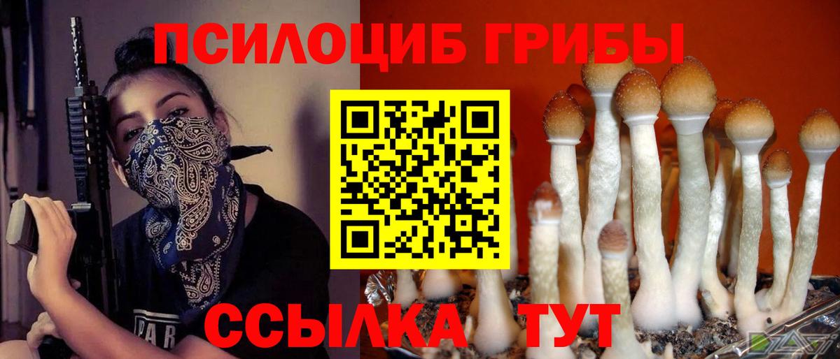 как найти   Вход с VPN  Амурск  Псилоцибиновые грибы Psilocybe 