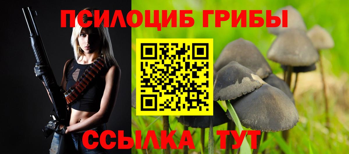 Псилоцибиновые грибы Magic Shrooms Амурск