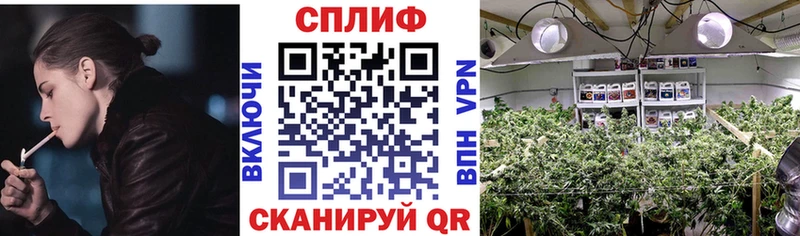 закладка  Амурск  Каннабис ГИДРОПОН 